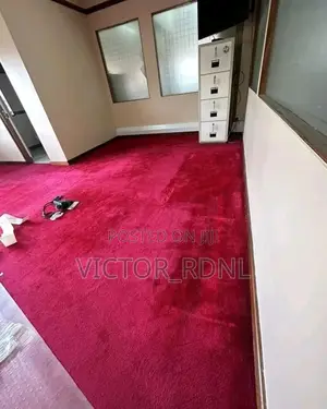 Strong Rug for Homes
