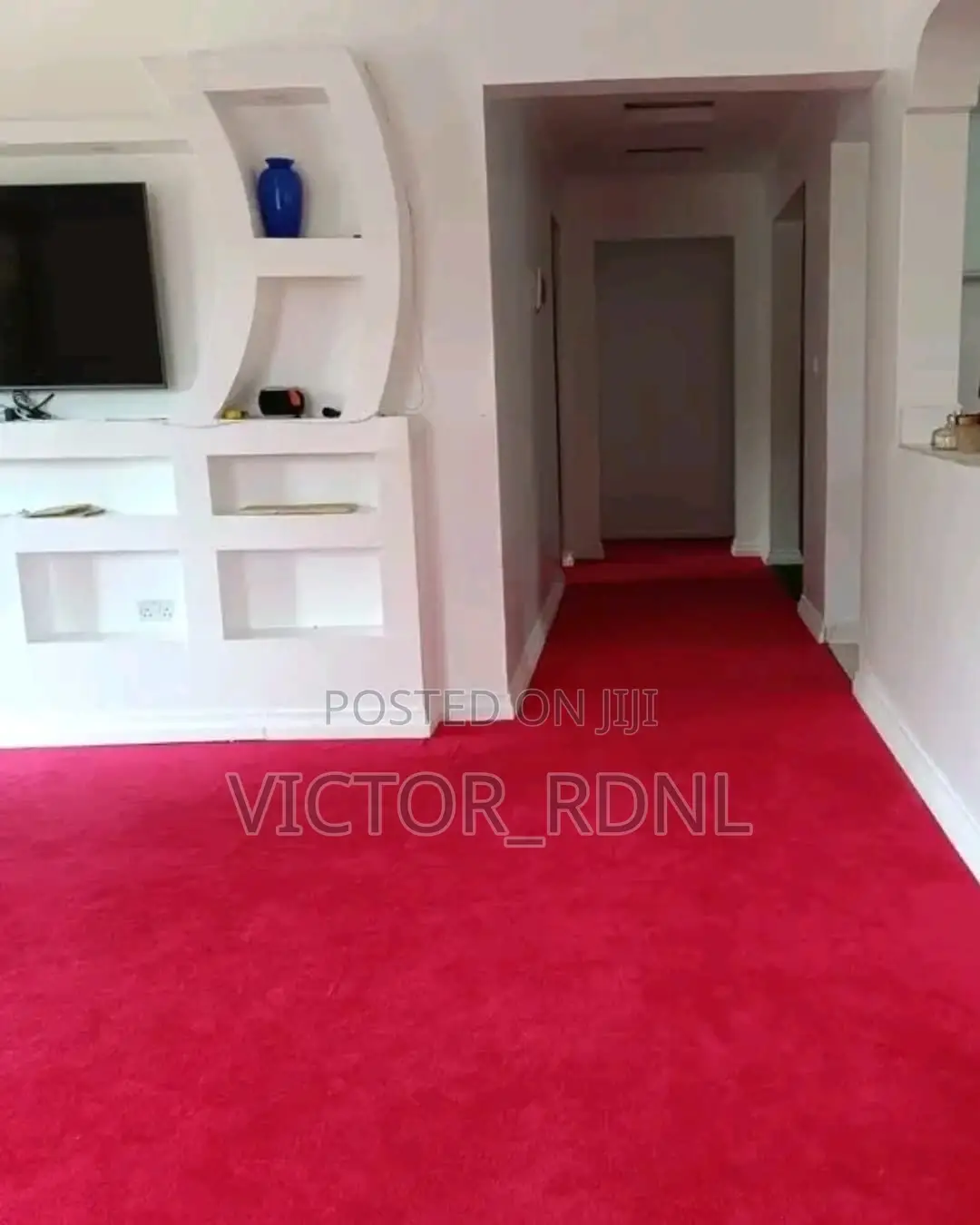 Strong Rug for Homes