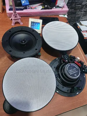 120 Watts Ceiling Speaker