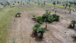 Facing Coastal Road Directly