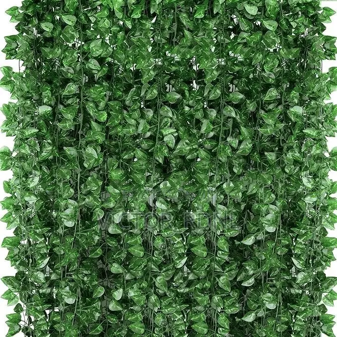 Beautiful Creeping Plants
