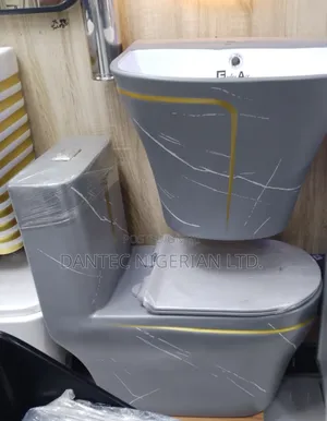 Grey Wc With Hanging Basin