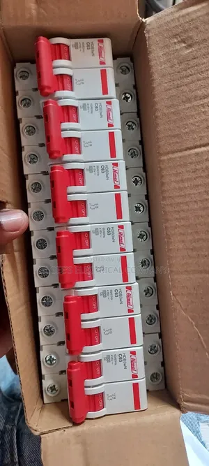 Original Himel 63 Amps 2 Pole Circuit Breaker