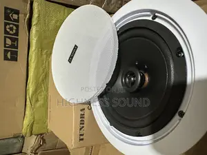 Tundra 30watts Pop Ceiling Speaker