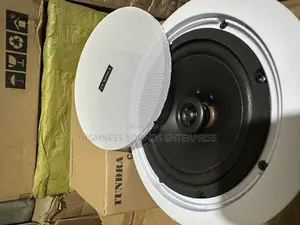 Tundra 30watts Pop Ceiling Speaker