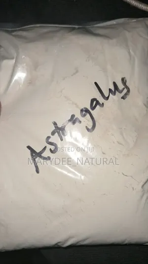 Astragalus Root Powder