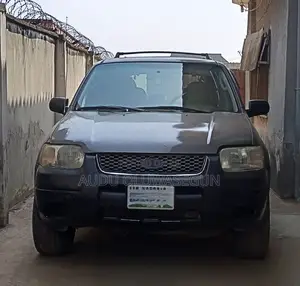 Ford Escape 2004 Gray