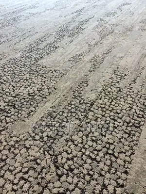 Real Thick Rug Tiles for Floor