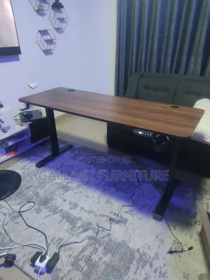 Luxury Electric Adjustable Ergonomic Desk 1.6mtr
