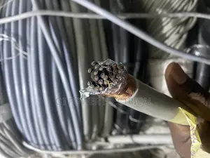 2.5mm 25 Core Screen Shedded Cable