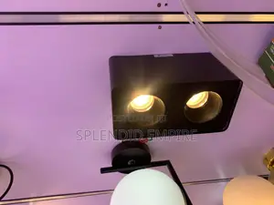 Double Down Light