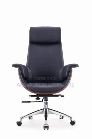 Executive Director Chair