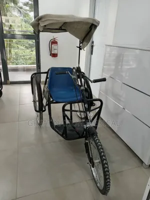 Disabled Tricycle
