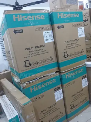 Hisense Deepfreeze 198 L – Fast Freeze Option