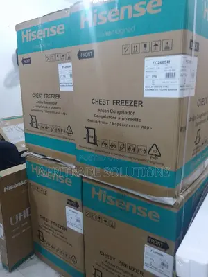 Freezelock 198: Hisense Fc260sh With Key