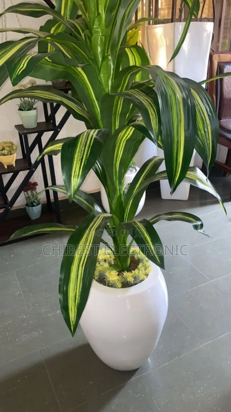 Artificial Plant for Your Home