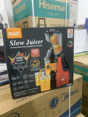Raf R.2702 Slow Juicer – Stylish Stainless Steel Design