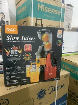 Raf R.2831 150w Juicer – Pulp Collection Basket