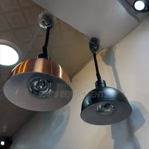 Silver and Gold Food Warmer Lamp