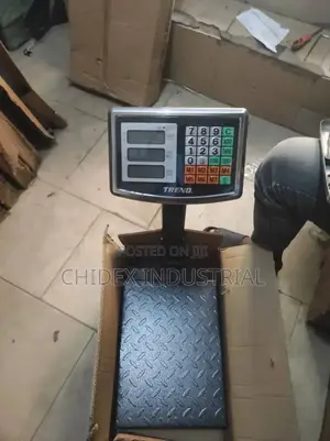 Scale 100kg