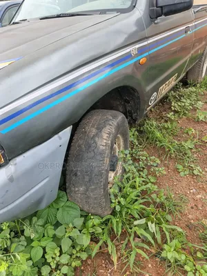 Ford Ranger Wildtrak 2003 Gray