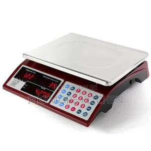 30 Kg Original Camry Brown Canton Scale