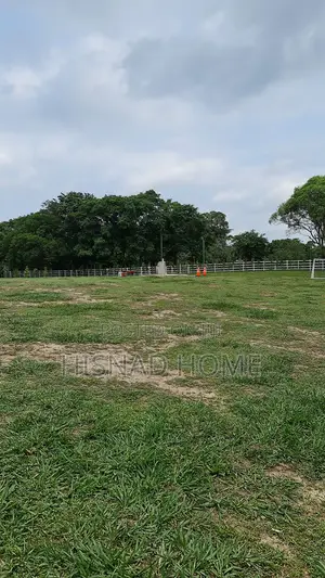 Photo - Prime 500sqm Land at Hisnad Estate, Shimawa