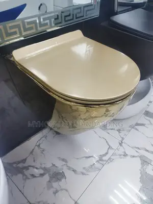 Gold Conceal Wc