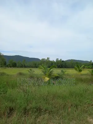 Photo - 5 Acres of Residential Land, Shimawa, Ogun State