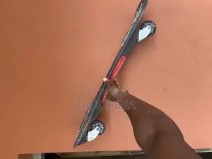 Ripstick Board