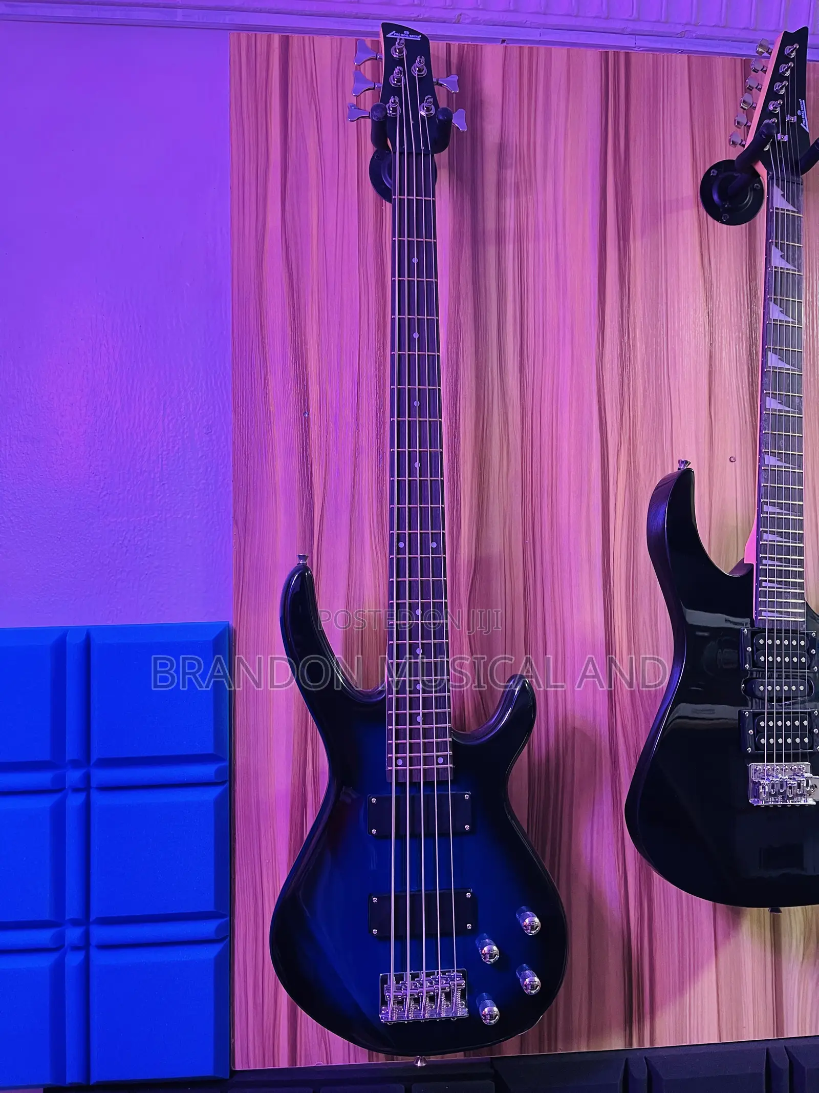 5 Strings Bass Guitar