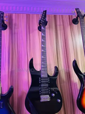 Professional Lead Guitar