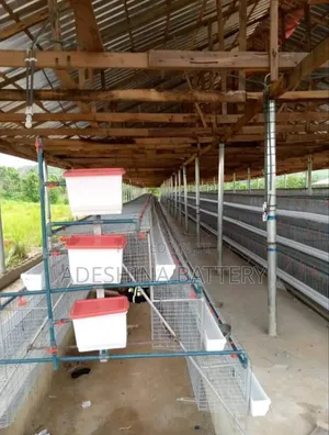 Battery Cages