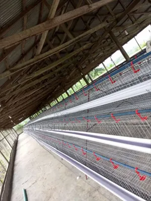Battery Cages