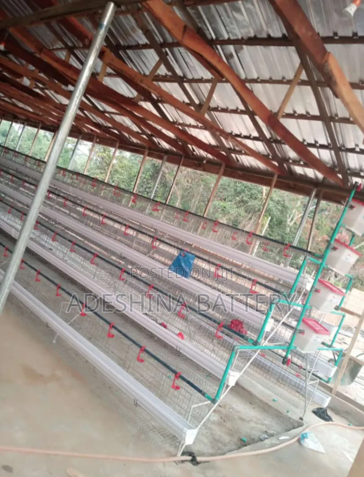 Battery Cages