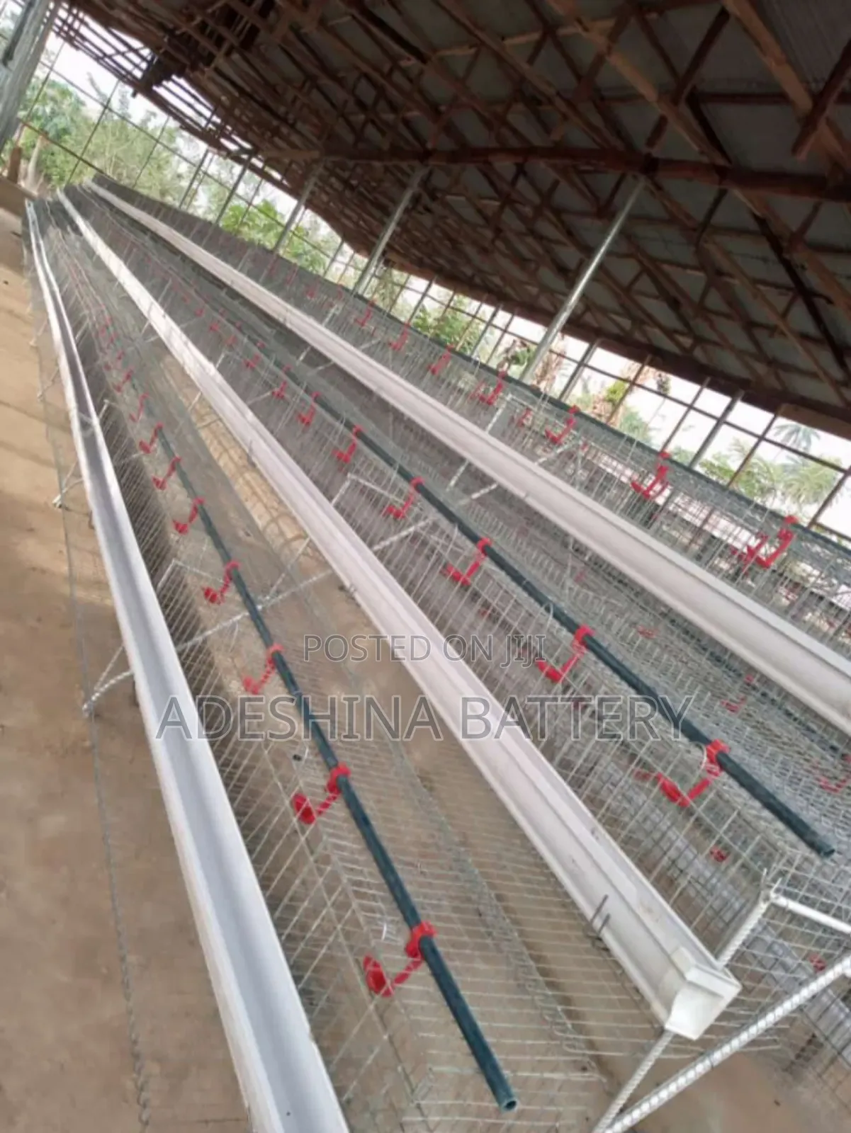 Battery Cages