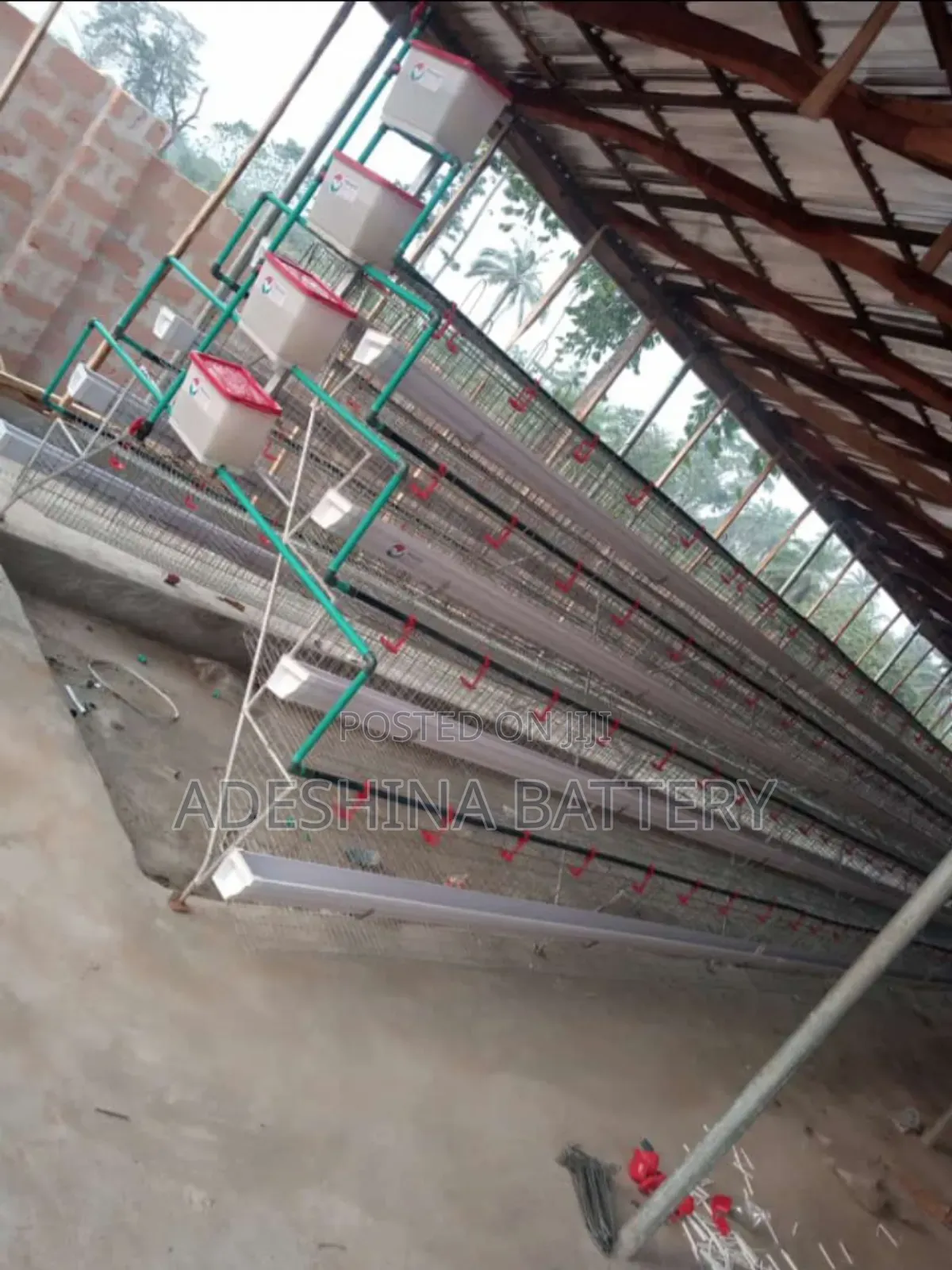 Battery Cages