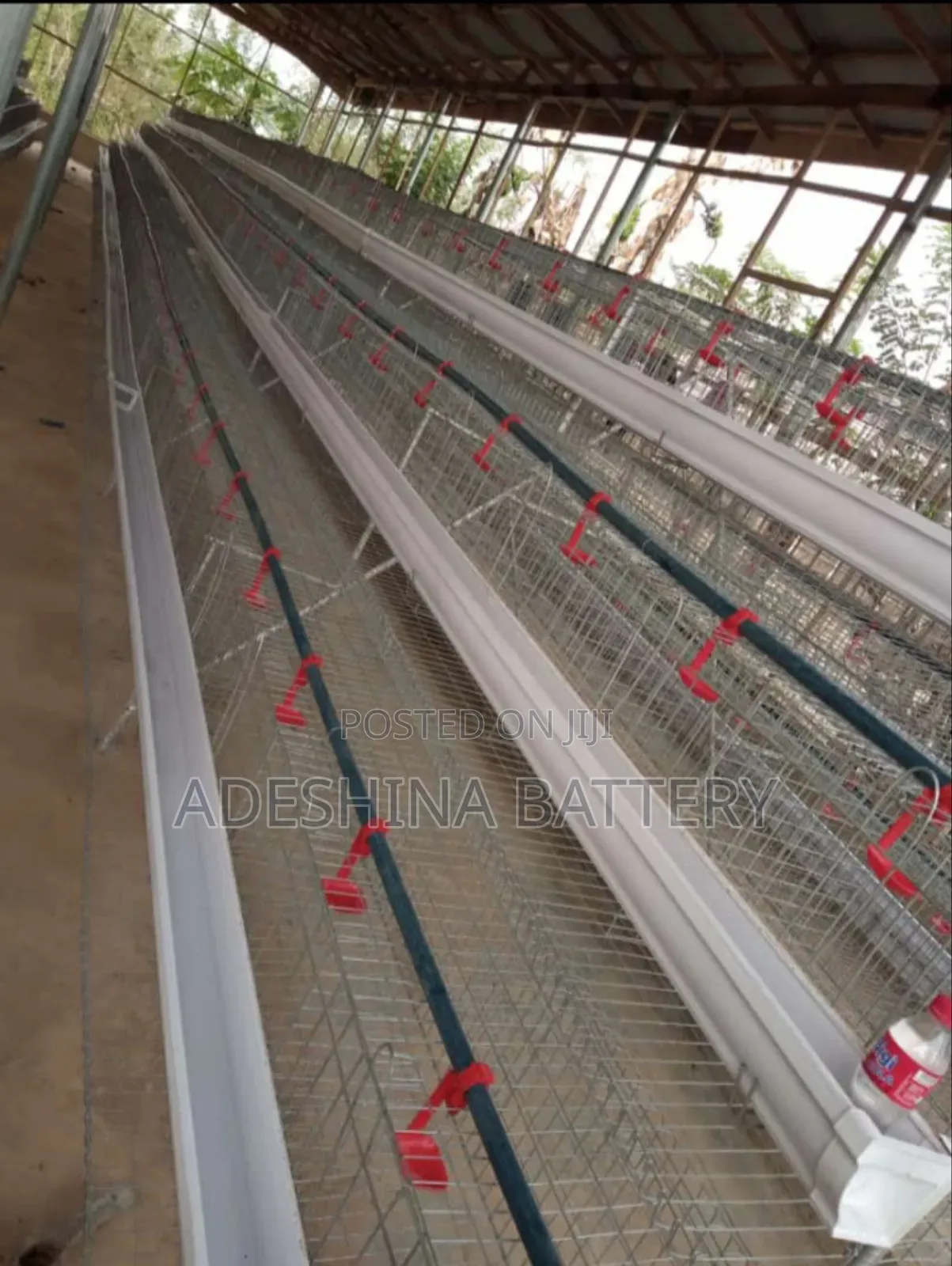 Battery Cages