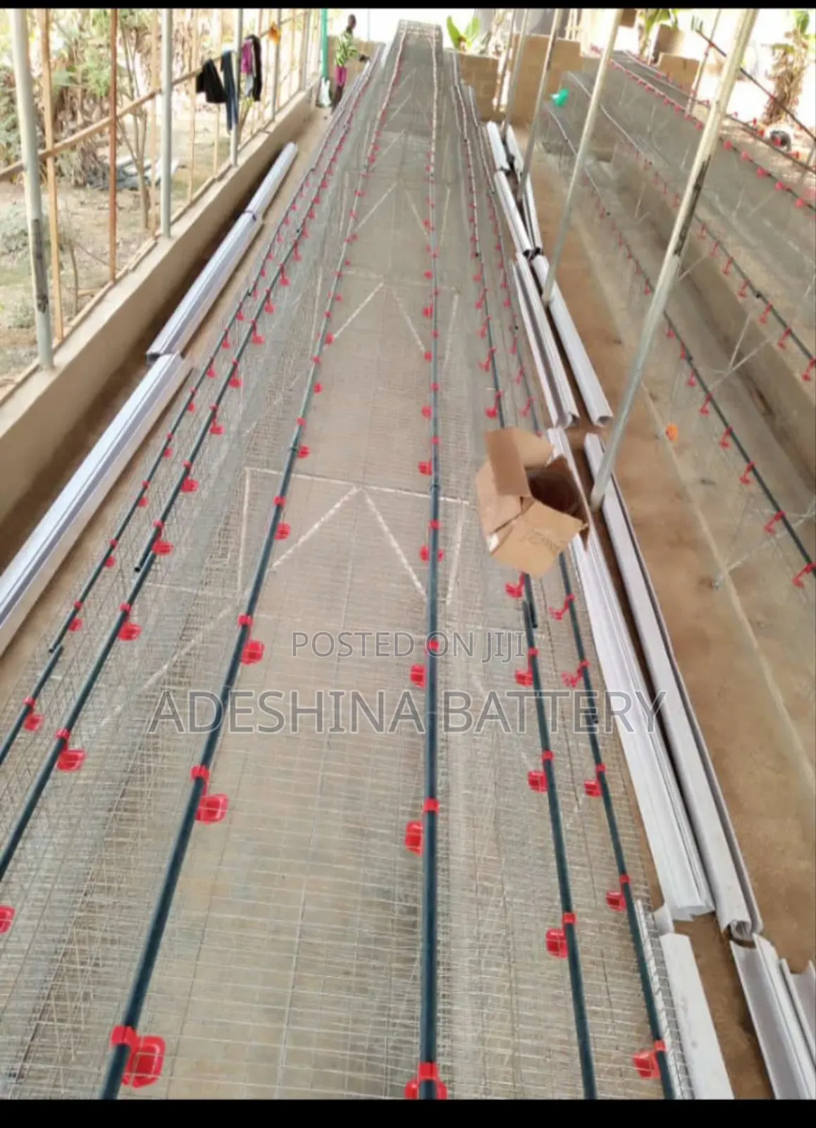 Battery Cages