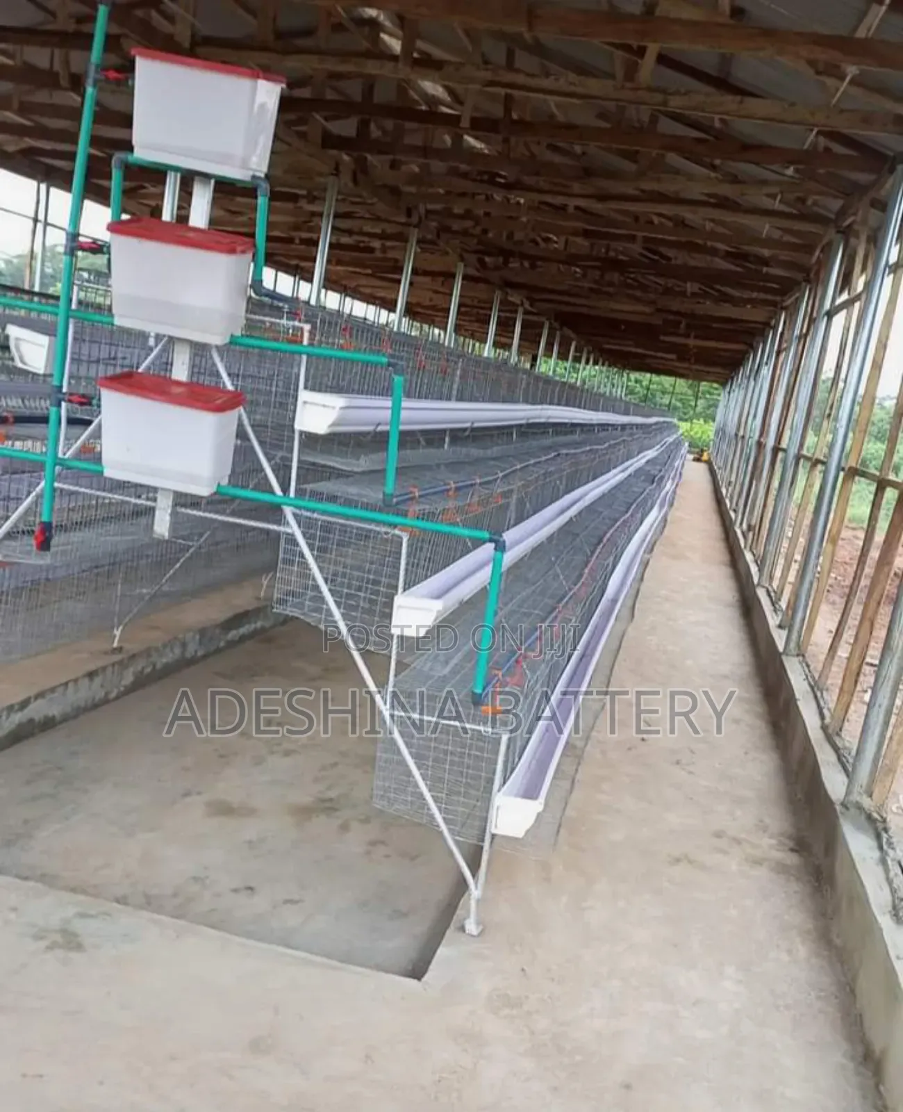 Battery Cages