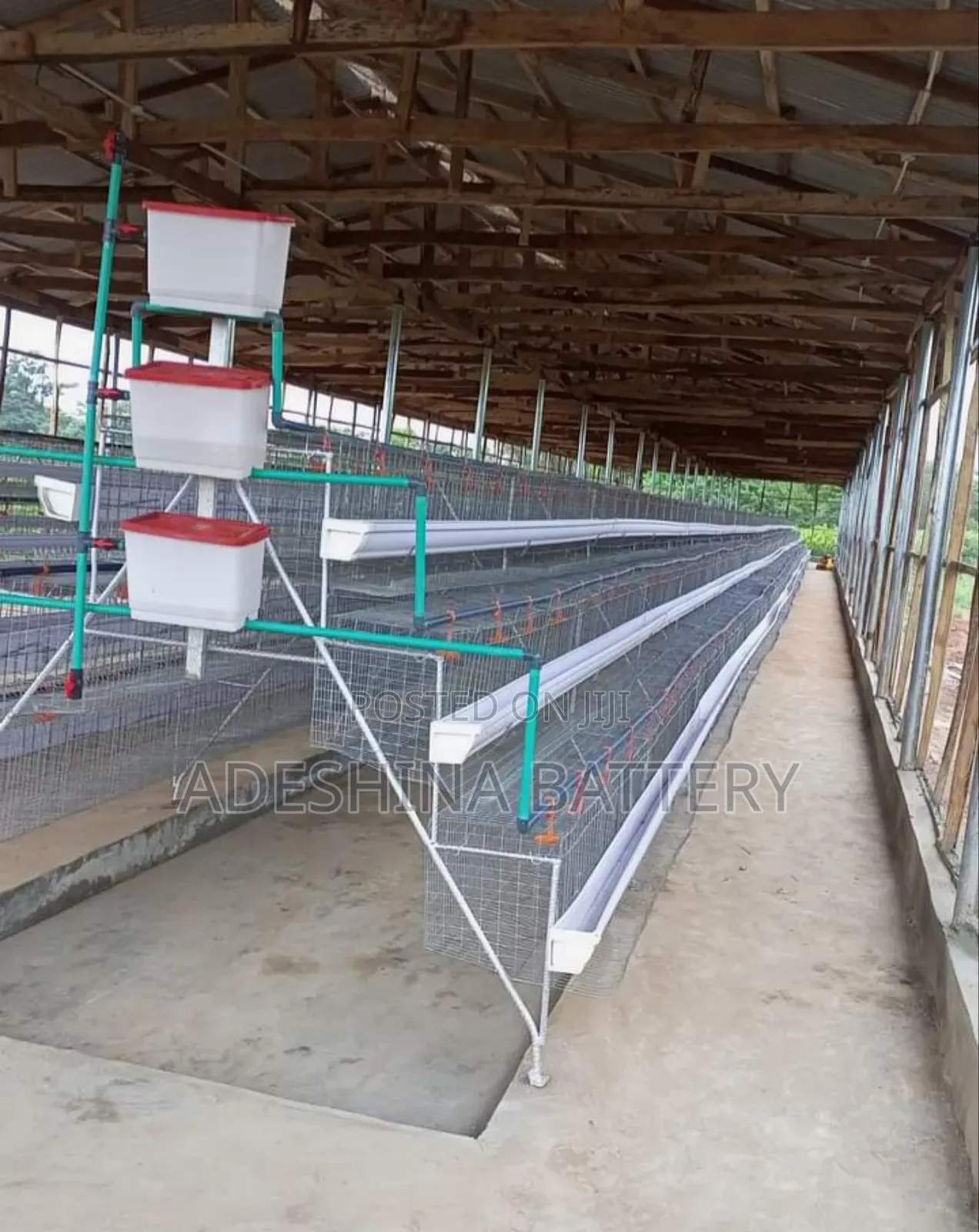 Battery Cages