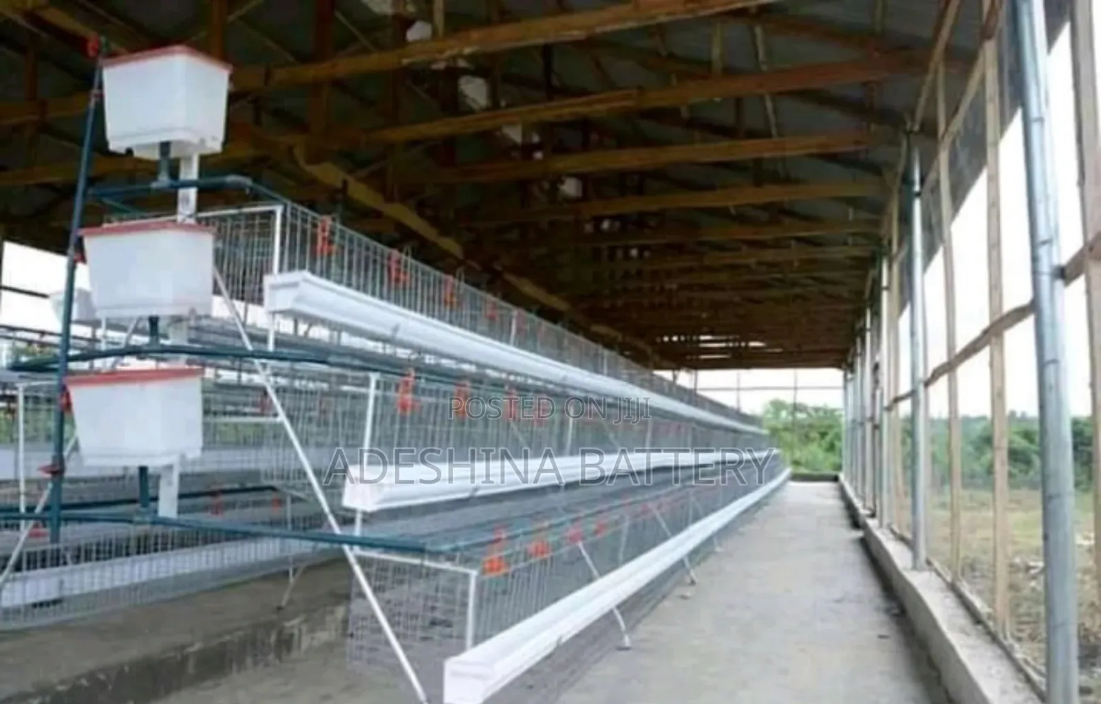Battery Cages
