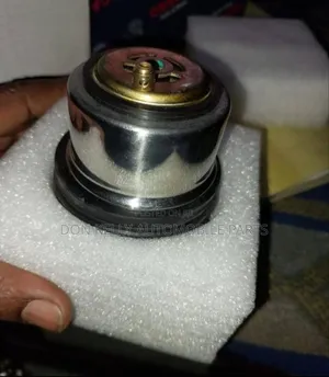 Porsche Thermostat 2012/2014