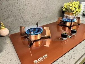 Bronze 2 Burner Lift Up Gas Cooker