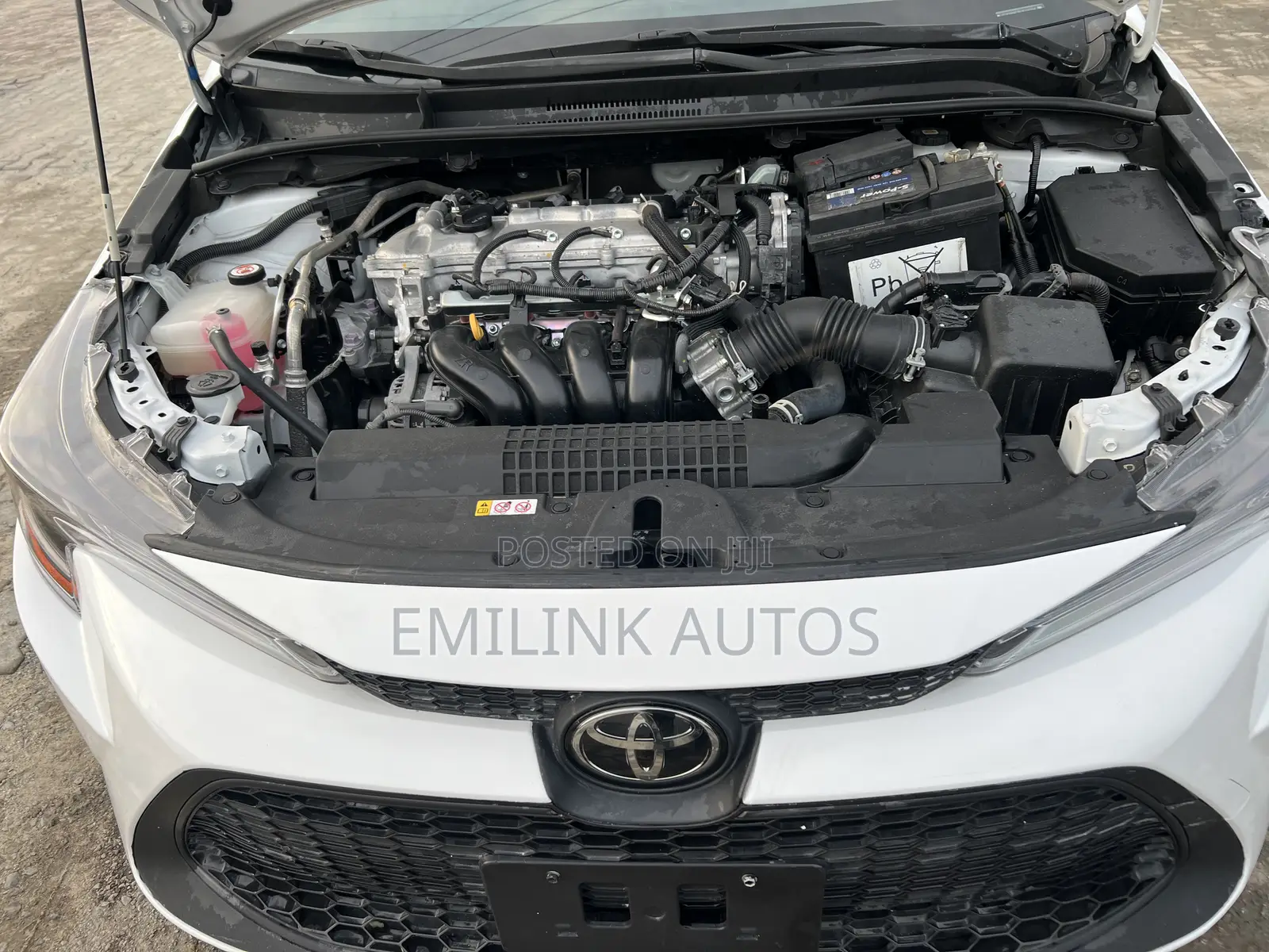 Toyota Corolla LE 2022 White