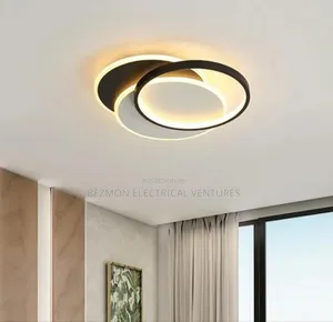 Unique Ceiling Fittings Available for Sale