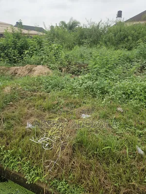 Residential Land at Asokoro Abuja