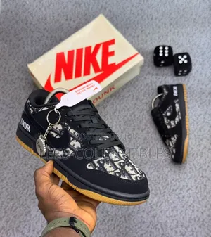 Nike Sb Dunk X Dior Sneakers