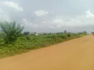 Acres of Land for Sale at Ede, Close to Adeleke University