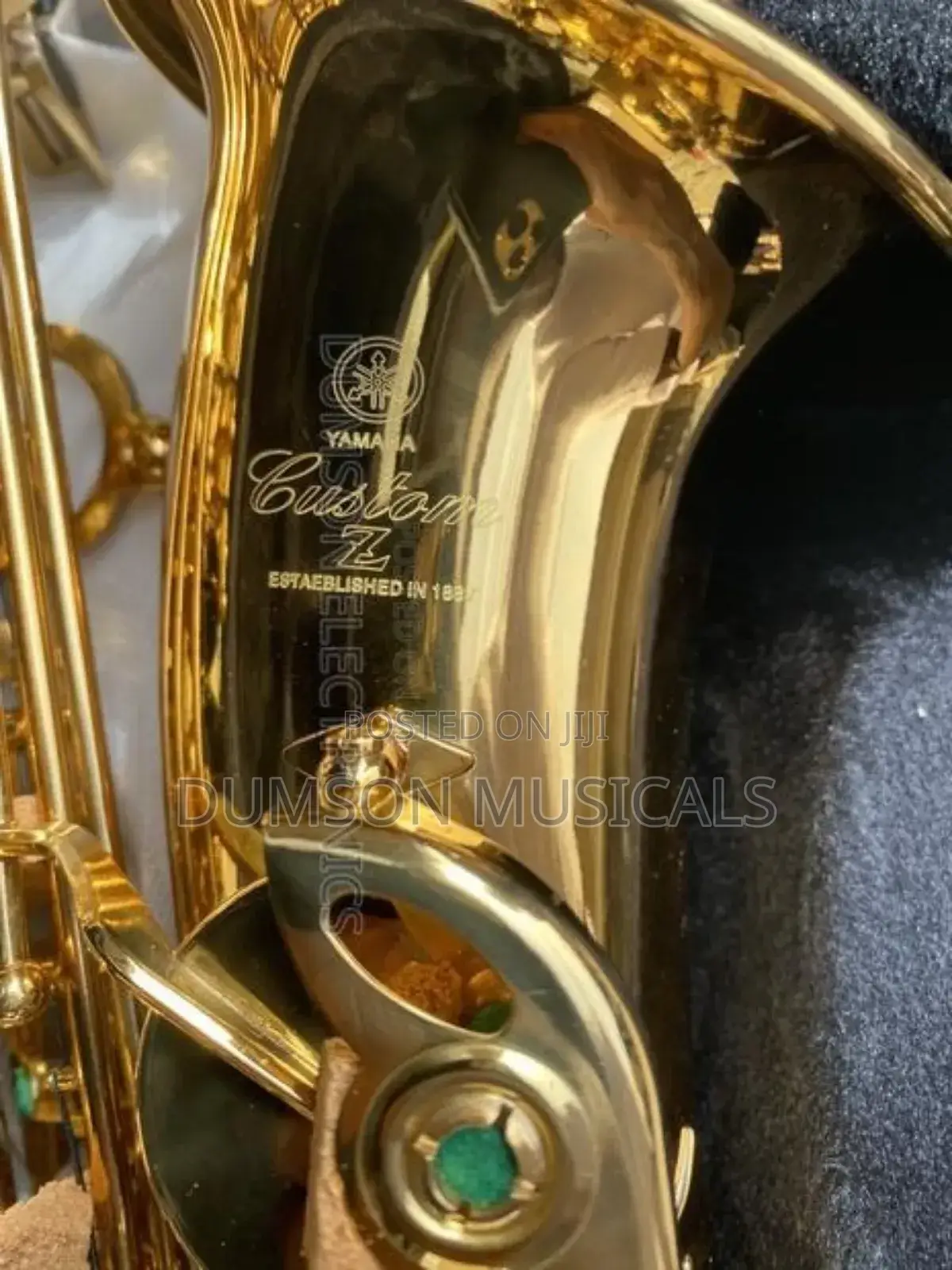 Alto Saxophone Custom Zz Golden